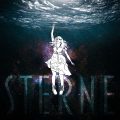 zimt&zorn-cover-artwork-sterne-web